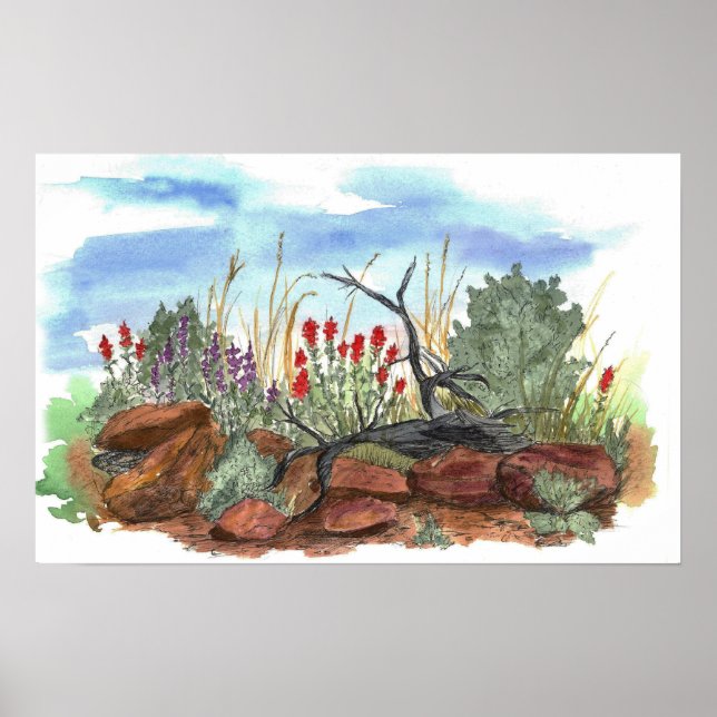 Póster Paisaje del desierto de las flores de pincel india (Frente)