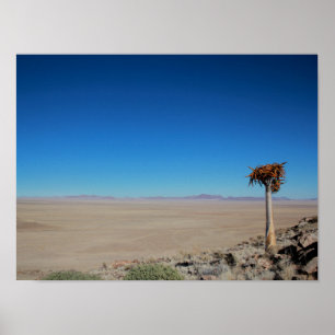 Póster Paisaje del desierto de Namibia Tirool Kokerboom