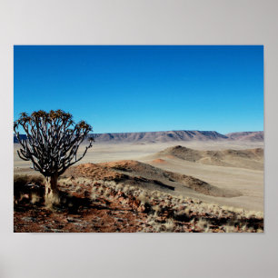 Póster Paisaje del desierto de Namibia Tirool Kokerboom