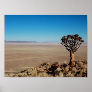 Póster Paisaje del desierto de Namibia Tirool Kokerboom
