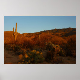 Póster Paisaje del desierto de Saguaro Sunset I Arizona