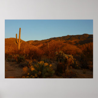 Póster Paisaje del desierto de Saguaro Sunset I Arizona