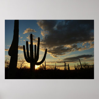 Póster Paisaje del desierto de Saguaro Sunset II Arizona