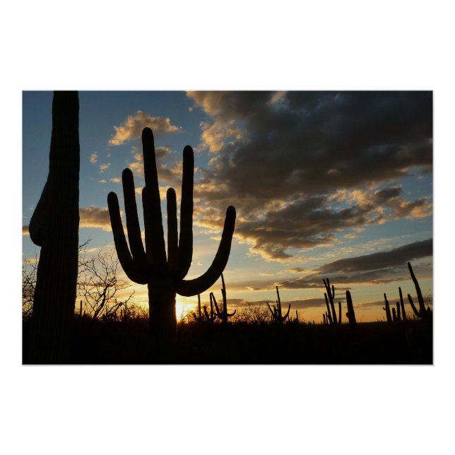 Póster Paisaje del desierto de Saguaro Sunset II Arizona (Anverso)