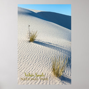 Póster Paisaje del desierto de White Sands y plantas de y