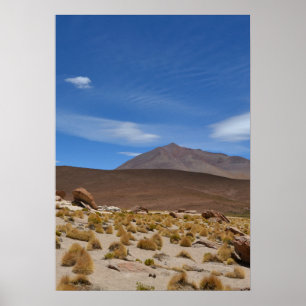 Póster Paisaje del desierto del altiplano boliviano