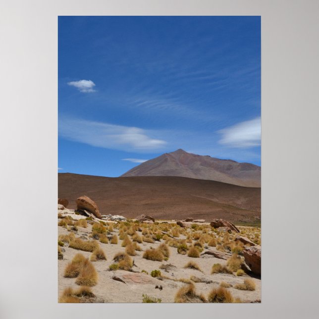 Póster Paisaje del desierto del altiplano boliviano (Frente)