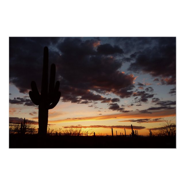 Póster Paisaje del desierto Saguaro Sunset III Arizona (Anverso)