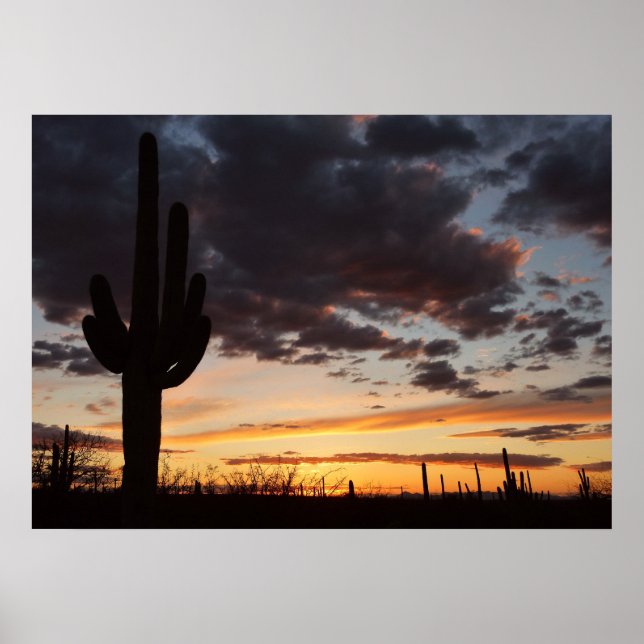Póster Paisaje del desierto Saguaro Sunset III Arizona (Frente)