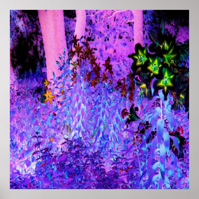 Póster Paisaje del jardín Spooky Black and Crimson Lily (Frente)