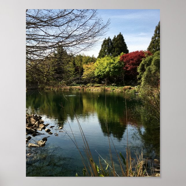 Póster Paisaje del lago (Frente)