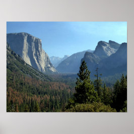 Póster Paisaje del Parque Yosemite