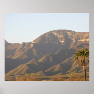 Póster Paisaje del rancho del desierto cerca de Monterey,