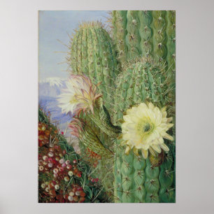 Póster Paisaje exótico de Cactus por Marianne North