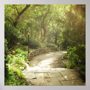 Póster Paisaje exuberante de Central Park, NYC, Medio