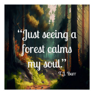 Póster Paisaje forestal