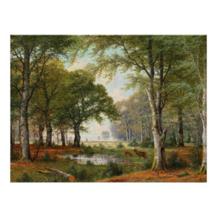 Póster Paisaje forestal al atardecer
