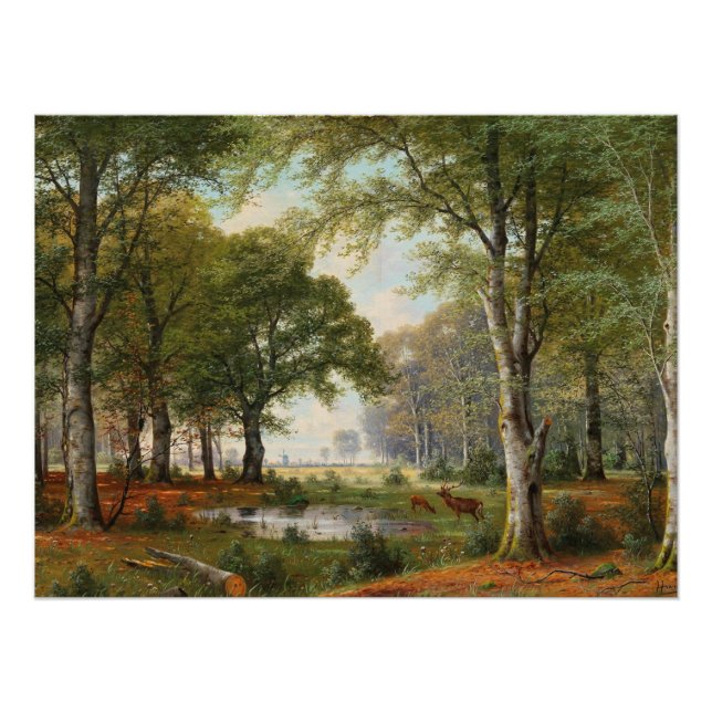 Póster Paisaje forestal al atardecer (Anverso)