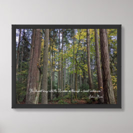 Póster Paisaje forestal con cita de John Muir