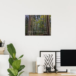 Póster Paisaje forestal con cita de John Muir