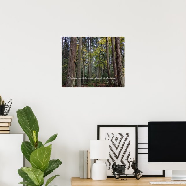 Póster Paisaje forestal con cita de John Muir (Oficina en casa)