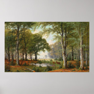 Póster Paisaje Forestal por la noche