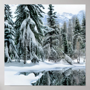 Póster Paisaje invernal árboles de hoja perenne nieve mon