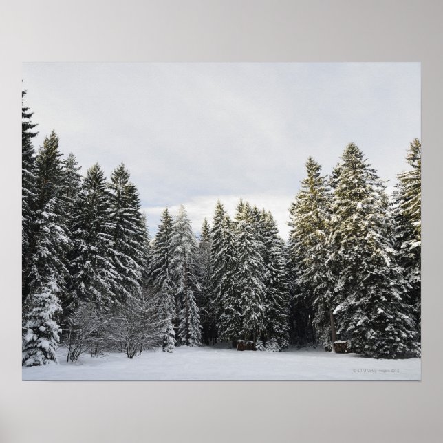 Póster Paisaje invernal cerca de Koenigsfeld, Selva Negra (Frente)