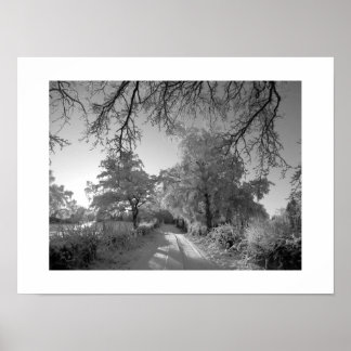 Póster Paisaje invernal: Cheshire