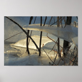Póster Paisaje invernal de Maine con hielo en marisma con
