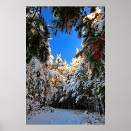 Póster Paisaje Invernal Mágico