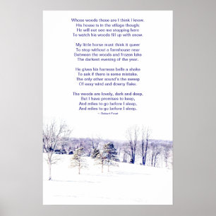 Póster Paisaje invernal nevado