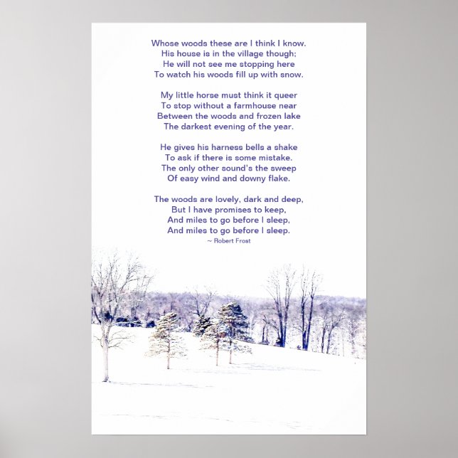 Póster Paisaje invernal nevado (Frente)