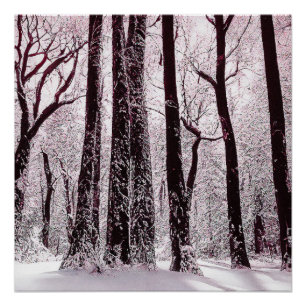 PÓSTER PAISAJE INVERNAL NEVADO DE BOSQUES FORESTALES