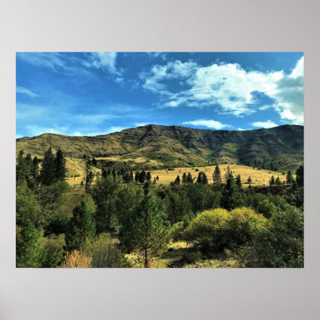 Póster Paisaje junto al río Serpiente, Oregón (Frente)