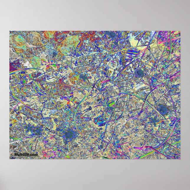 Póster Paisaje loco (Frente)