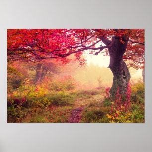Póster Paisaje Majestuoso Con Árboles Otoño En Bosque