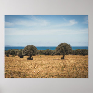 Póster paisaje marino italiano desde un olivar