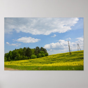 Póster Paisaje natural Canola Campo Rural Bielorrusia