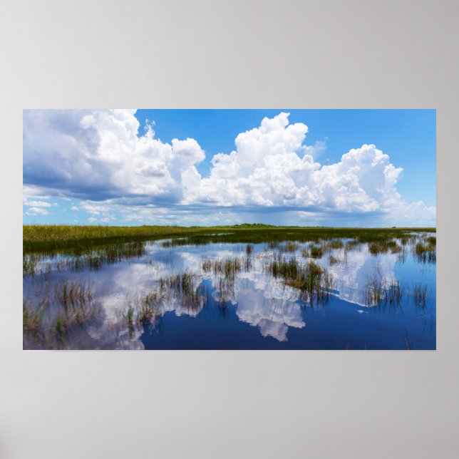 Póster Paisaje natural de Everglades (Frente)
