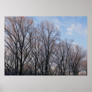 Póster Paisaje natural de la Mañana de Invierno III