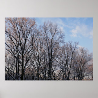 Póster Paisaje natural de la Mañana de Invierno III