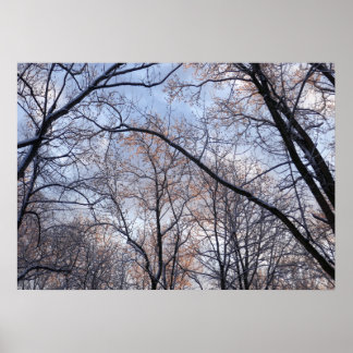Póster Paisaje natural de la Mañana del Invierno II