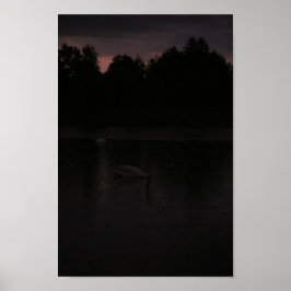 Póster Paisaje natural de los Cisnes de Sunset Lake Rain