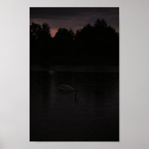 Póster Paisaje natural de los Cisnes de Sunset Lake Rain