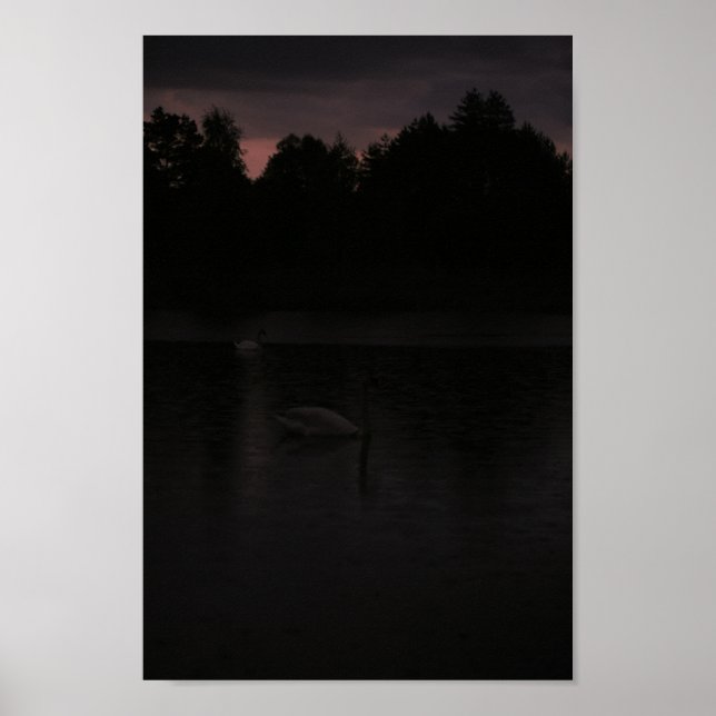 Póster Paisaje natural de los Cisnes de Sunset Lake Rain (Frente)