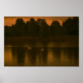 Póster Paisaje natural de los Cisnes de Sunset Lake Rain
