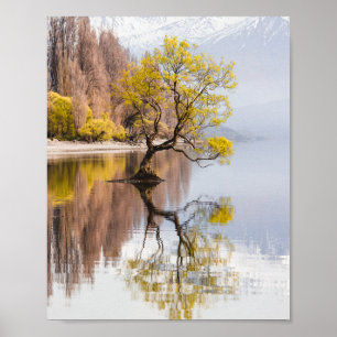 Póster Paisaje natural del otoño de Wanaka Tree