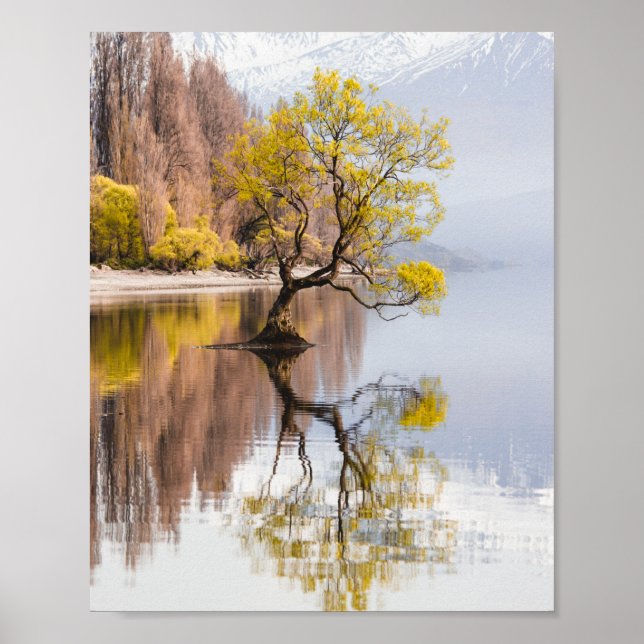Póster Paisaje natural del otoño de Wanaka Tree (Frente)
