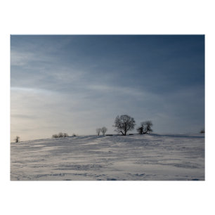 Póster Paisaje nevado   